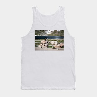 Summit Dialogue. Tank Top